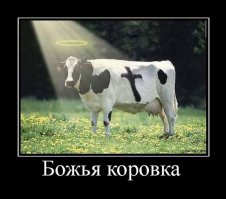 30 позитивных картинок, которые скрасят ваш рабочий день