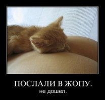 30 позитивных картинок, которые скрасят ваш рабочий день