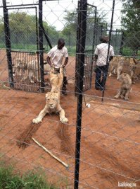 Фотоподборка за 09.08.2016