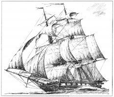 "Мастер-корабел" маленько накосячил - это не бригантина, а бриг.

Бриг «Феникс» был заложен 6 октября 1809 года на Кронштадтской верфи. Строительство вёл корабельный мастер А. В. Зенков. Спуск на воду состоялся 12 июля 1811 года.
В июне и июле 1812 года бриг крейсировал в Рижском заливе и Балтийском море, осуществлял разведывательные операции у берегов Риги и Данцига. В августе обеспечивал защиту подходов к Рижскому заливу, крейсировал между Виндавой и Либавой. 19 августа бриг в составе отряда капитана 2 ранга И. С. Тулубьева пришёл на Данцигский рейд.
До 4 сентября корабль блокировал морской подход к крепости, а 8 сентября пришёл в Свеаборг. В это время на бриге в чине лейтенанта служил Михаил Петрович Лазарев.
Война с Францией 1813—1814 годов
В 1813 и 1814 годах корабль крейсировал в Балтийском море, ходил к Стокгольму, Копенгагену, Карлскроне.
Дальнейшая служба
В 1815, 1816, 1818 и 1819 годах бриг ходил в практические плавания в Балтийское море и Финском заливе. С мая по сентябрь 1817 года корабль ходил в плавание с гардемаринами Морского кадетского корпуса, в числе которых были П. С. Нахимов, В. И. Даль, П. М. Новосильцев, А. П. Рыкачёв. Корабль заходил в Стокгольм, Копенгаген, Карльскруну.
В 1825 году в Кронштадте бриг был разобран.

А бригантина - шхуна-бриг, — двухмачтовое парусное судно со смешанным парусным вооружением — прямыми парусами на передней мачте (фок-мачта) и с косыми на задней (грот-мачта). 


Кстати, вот рисунок бриг "Феникс", от Карелова: