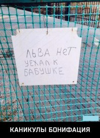 30 позитивных картинок, которые скрасят ваш рабочий день
