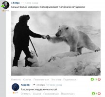Смешные комментарии фишкян