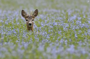 Красивые фотопейзажи
