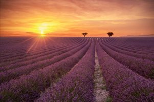 Красивые фотопейзажи