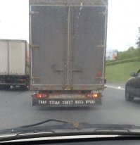 15 неистребимых существ, которые переживут Армагеддон