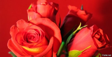 "Марокканцы не в курсе суеверия", - Марокканцы в основном мусульмане, и они не верят во всякую чушь и суеверия, в которую верят в нашем обществе.