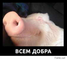 20 самых очаровательных детёнышей, которые растопят ваше сердце