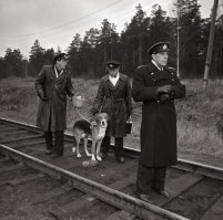 Что интересно – умудряется попасть в очень хорошие картины с сильным актёрским составом.
«Торпедоносцы».