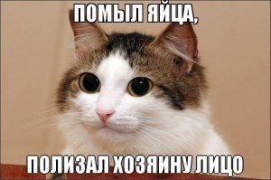 Есть еще один хороший друг: