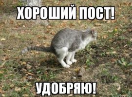 Флешмоб: Борода снизу