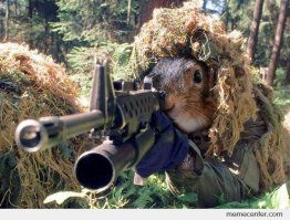 Как обучают полицейских снайперов