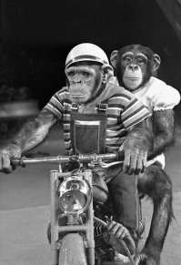 Да да вот двое отстали