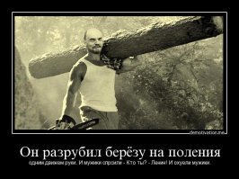 СССР. Последние пятилетки II