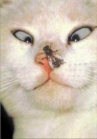 Как в настольном теннисе концентрируются на мяче