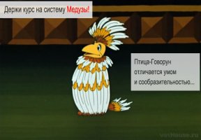 10 странных птиц, в существование которых сложно поверить