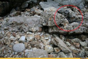 Как обучают полицейских снайперов