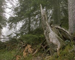 Вот здесь найди))