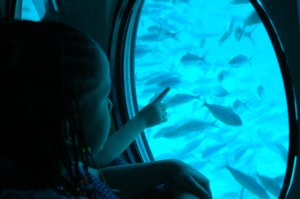 ЭТО ЧТО? Дверной глазок?

Подводная лодка «Синдбад»