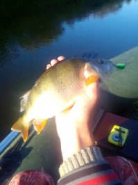 Душу травите, а еще только среда.