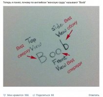 Комментарии из соцсетей и другие приколы