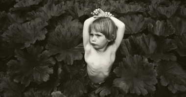 Эту стоило назвать "мальчик с пальчик в пучке петрушки" ))