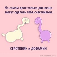 Кризис среднего возраста