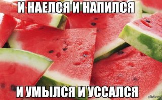 Как сохранить арбуз до нового года