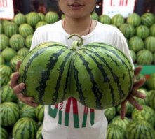 А Бисексуальный Арбуз подойдёт ?