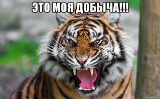 Гифки дня