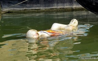 Ясное дело! Их даже такое не смущает.