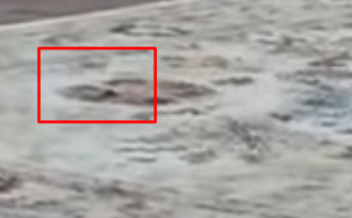 гости как дети, ей Богу