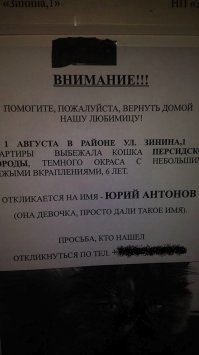 30 веселых фотографий с животными