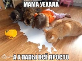 Убойные фотографии о том, что бывает , когда на кухне мужчина