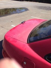 Свежая подборка автоприколов