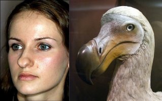 Как сильно пластика носа может изменить внешность человека