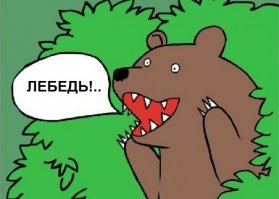Если вам не с кем поиграть в футбол, зовите этого лебедя