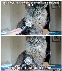 Спасение крошечного  котенка