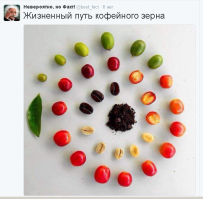 А где ж опа мусанги?