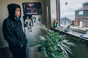 На недельку до 2-го,я уеду в Шишмарева