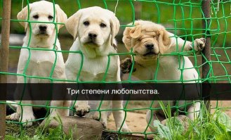 Смешные картинки из соц.сетей