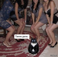 26 позитивных картинок, которые скрасят ваш рабочий день