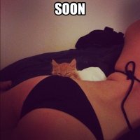 Девушки и котики