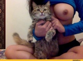 Девушки и котики