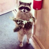 Типичный заброшенный поселок на Чукотке