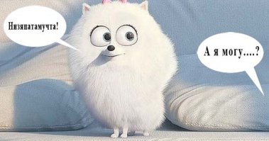 Шикарная служба поддержки ADOBE 