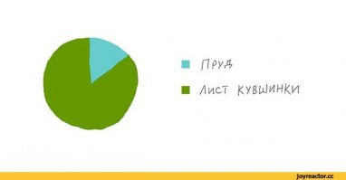 Лекарственные растения России