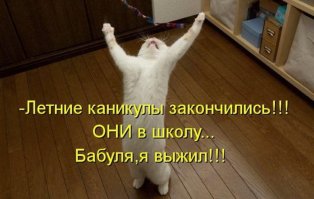 1 сентября - горе для детей, счастье для родителей!