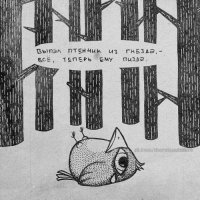 Что делать, если вы нашли птенца, выпавшего из гнезда