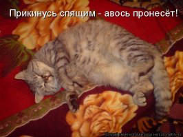 Нету в России настоящих дипломатов и руководителей - все по блату. Успешные юристы - только из-за знакомства с судьёй. 
А в мире панибратство не прокатывает. 
Авось - может прокатит.