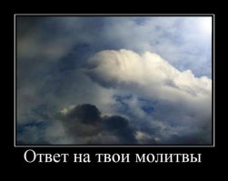 Подборка пятничных  демотиваторов